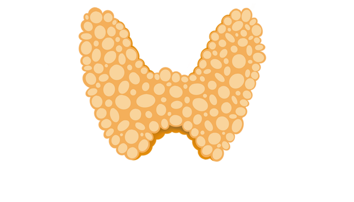 Thyroid